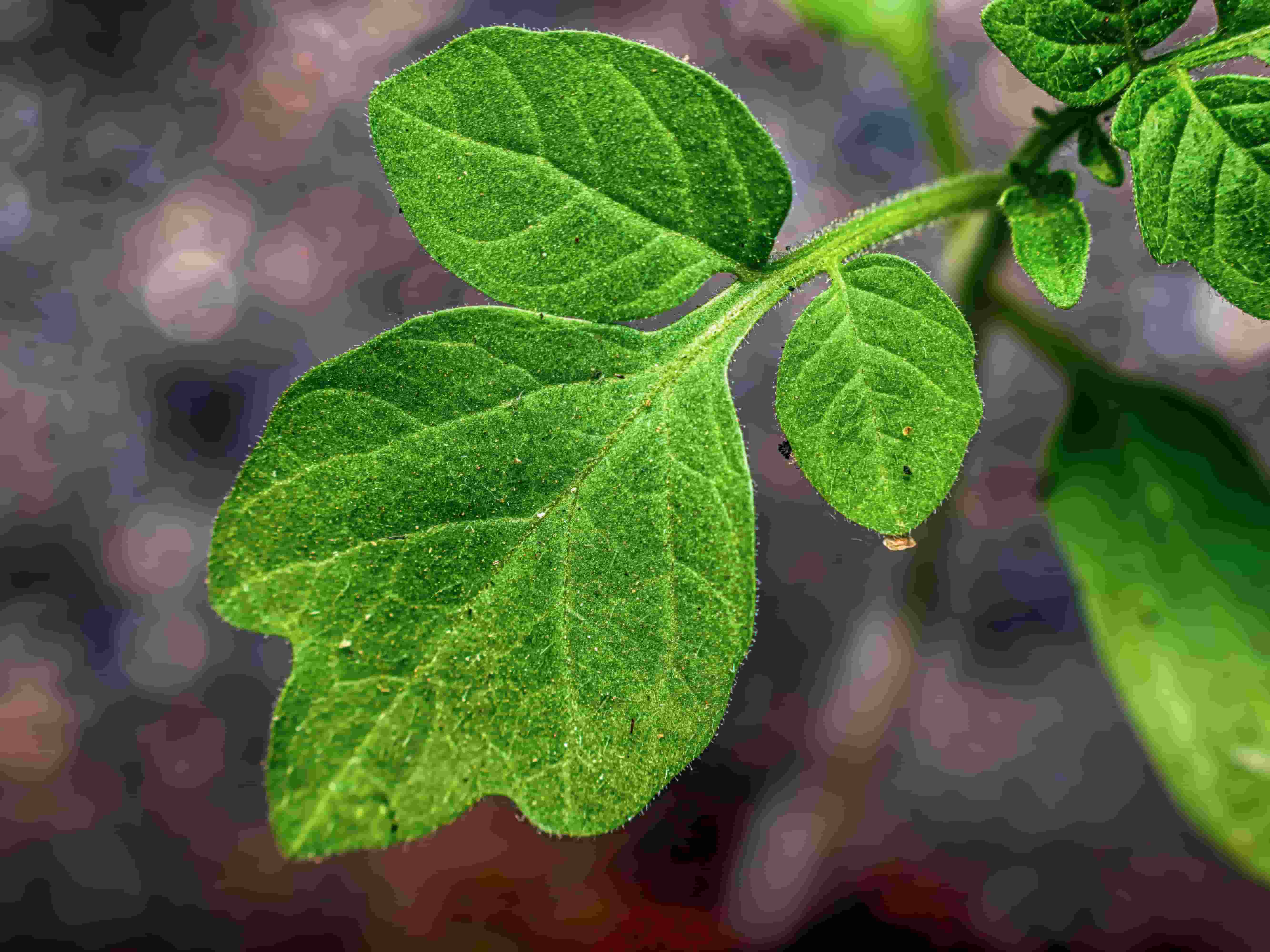 Bringing AI to The Edge - Advantech Edge AI System Application Cases