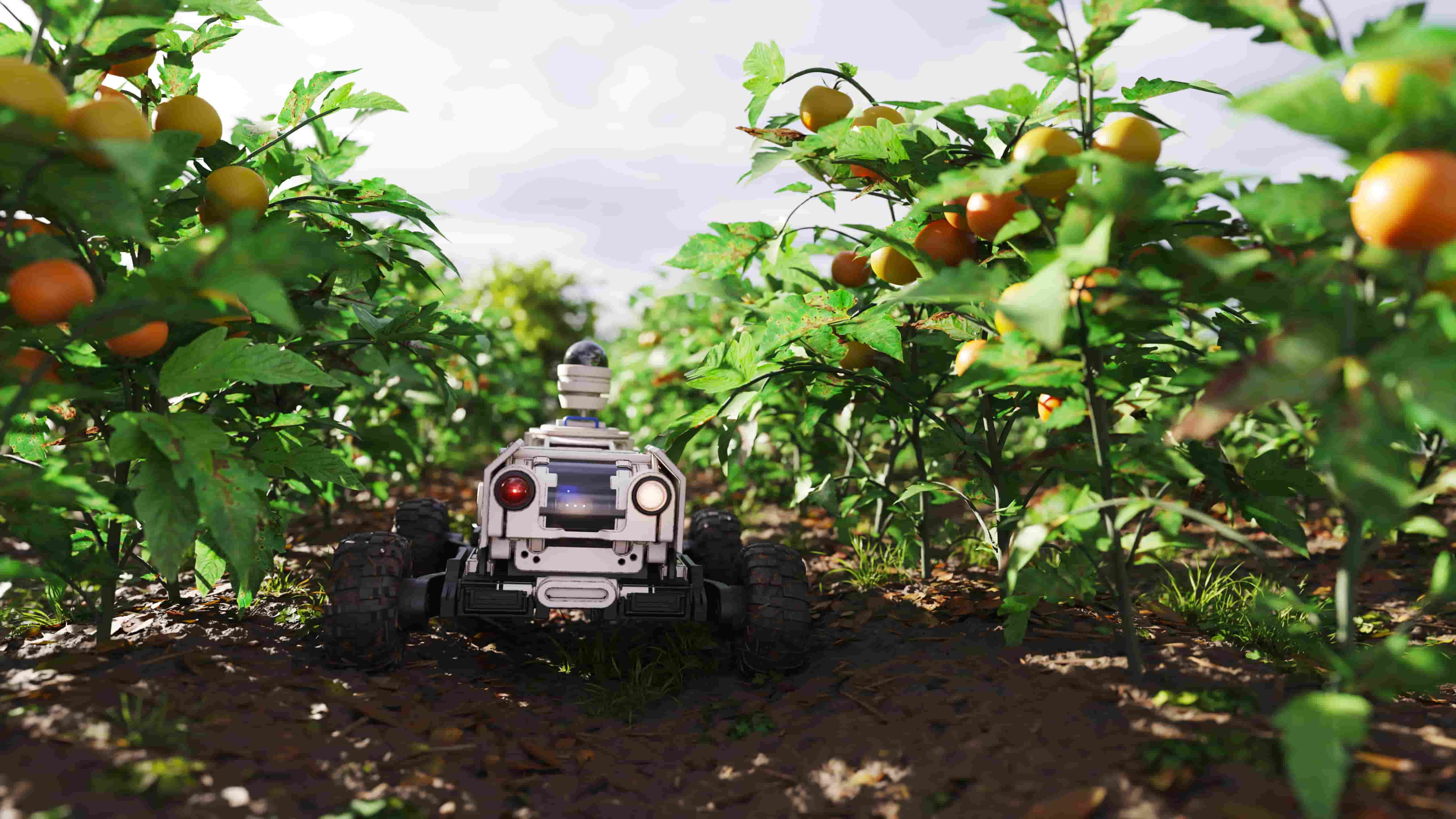 An AI Powered Fruit Prediction System for Optimal Harvest Management