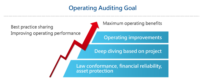 Operating Auditing Goal