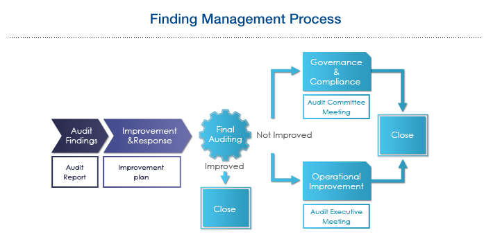 Finding Management Process